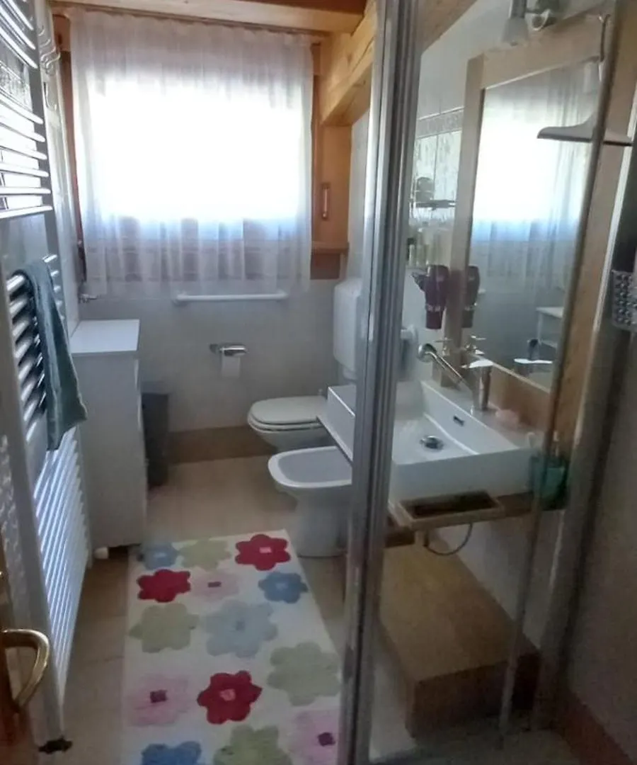 Un Tetto Sulle Tre Cime Apartment Auronzo di Cadore Italy